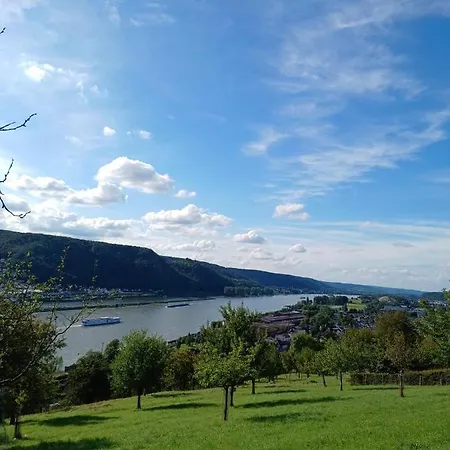 Апартаменты Neli Am Rhein