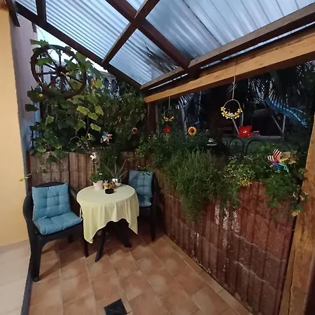 Neli Am Rhein * Rheinbrohl