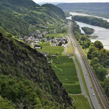 Апартаменты Neli Am Rhein Rheinbrohl