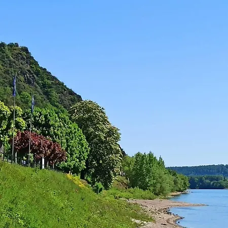 Neli Am Rhein Rheinbrohl