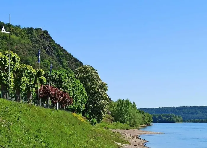 Neli Am Rhein Rheinbrohl